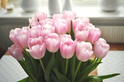 Ольга Иванова | 