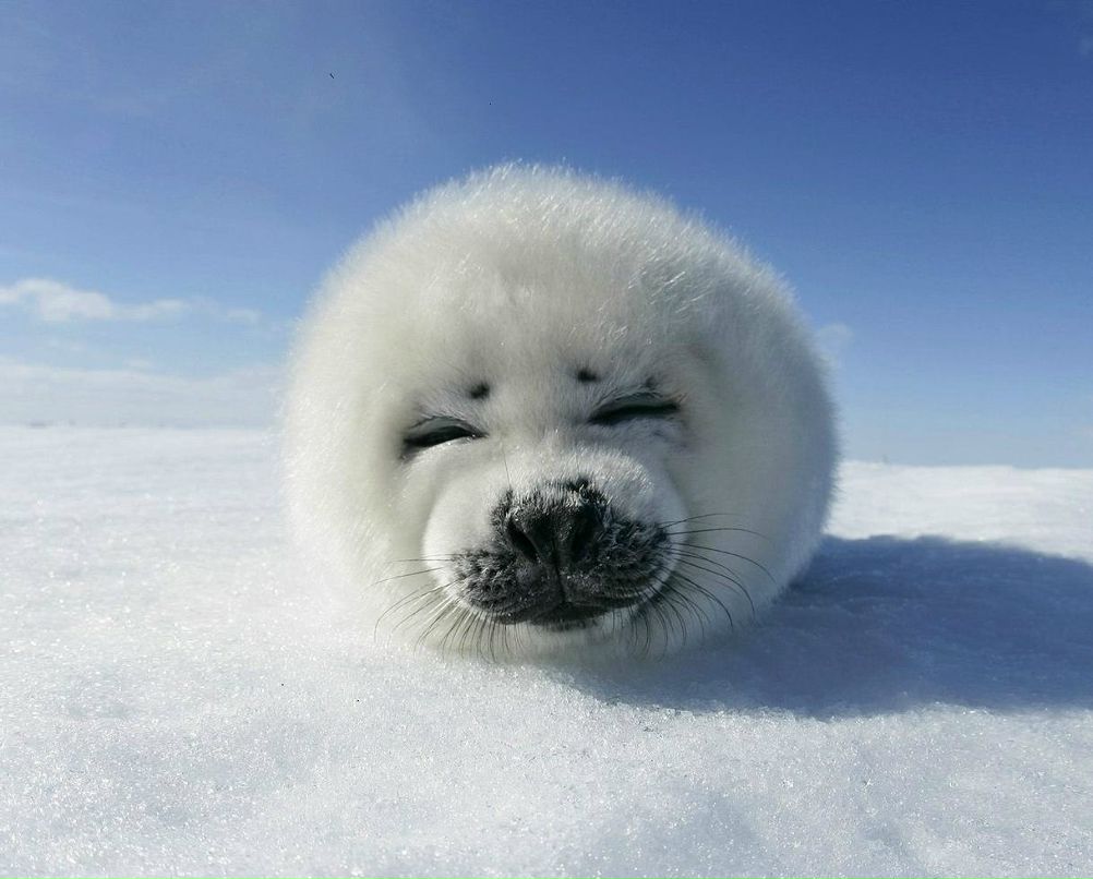 Артур Хитченс ♪Ra1nb0w♪ | Пенза