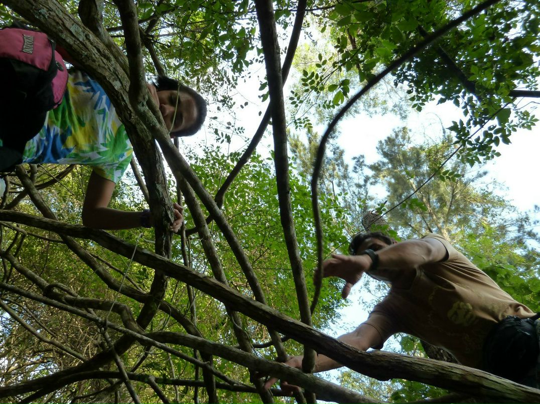 Luis Rincon | Bucaramanga