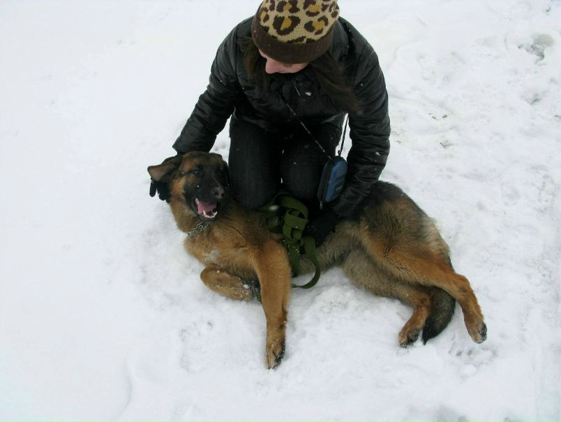 №49, Ярослав Бондарь №49, Ярослав Бондарь