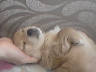 Валерия Юрченко | 