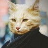Аватар: Дмитрий Котов