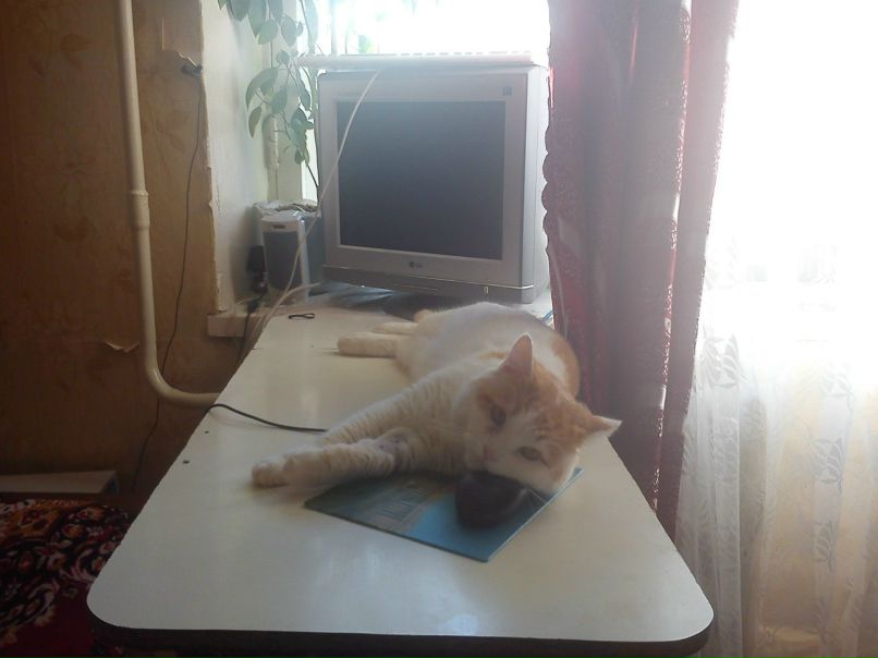 Роман Сидорин | Череповец