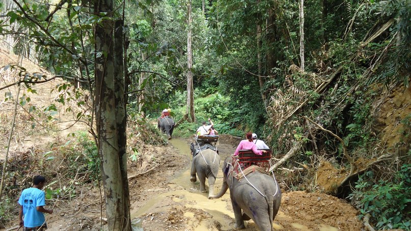 Людмила Соколова | Новокузнецк