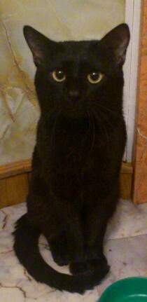 Антон Дутов ♥ I just can't stop lovin' you ♥ | Петропавловск-Камчатский