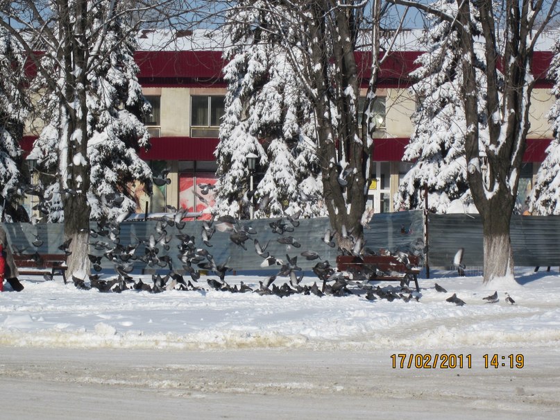 Анна Чубова | Москва