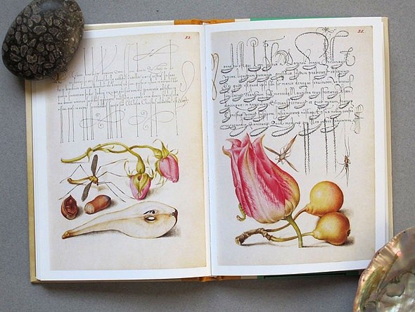 Тина Романова | Одесса