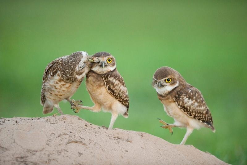 Вадим Харьков | Москва