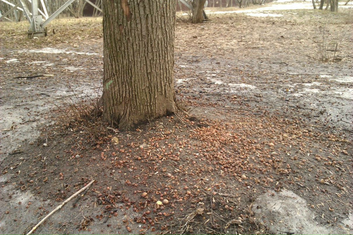 Юлька Майорова | 