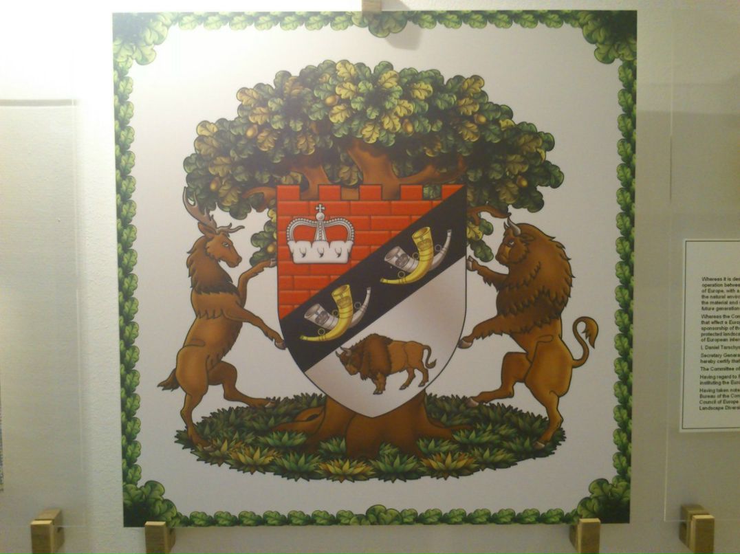 Артем Суботкевич | Кондопога