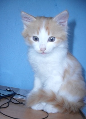 №101, Ольга Ширебазарова, 37 лет №101, Ольга Ширебазарова, 37 лет