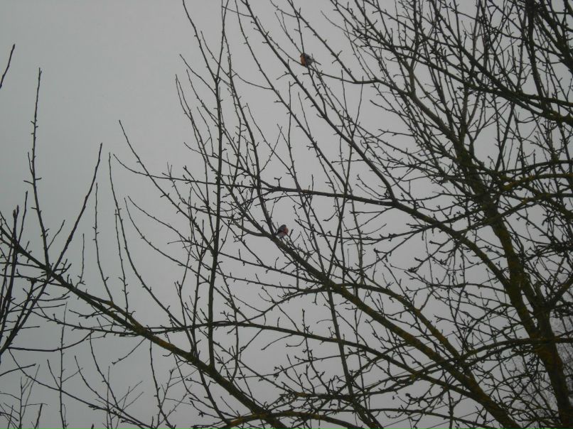 Татьяна Бизяева | Наро-Фоминск