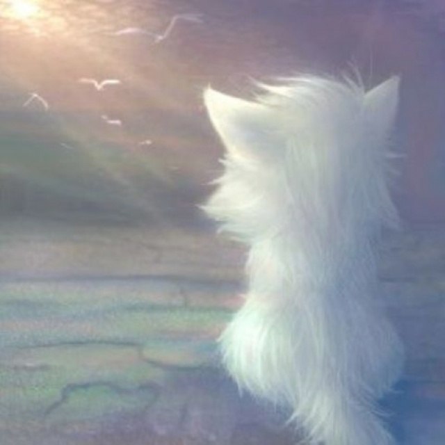 Марина Талятанова | Санкт-Петербург