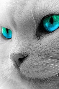 Евгений Новиков | Устюжна