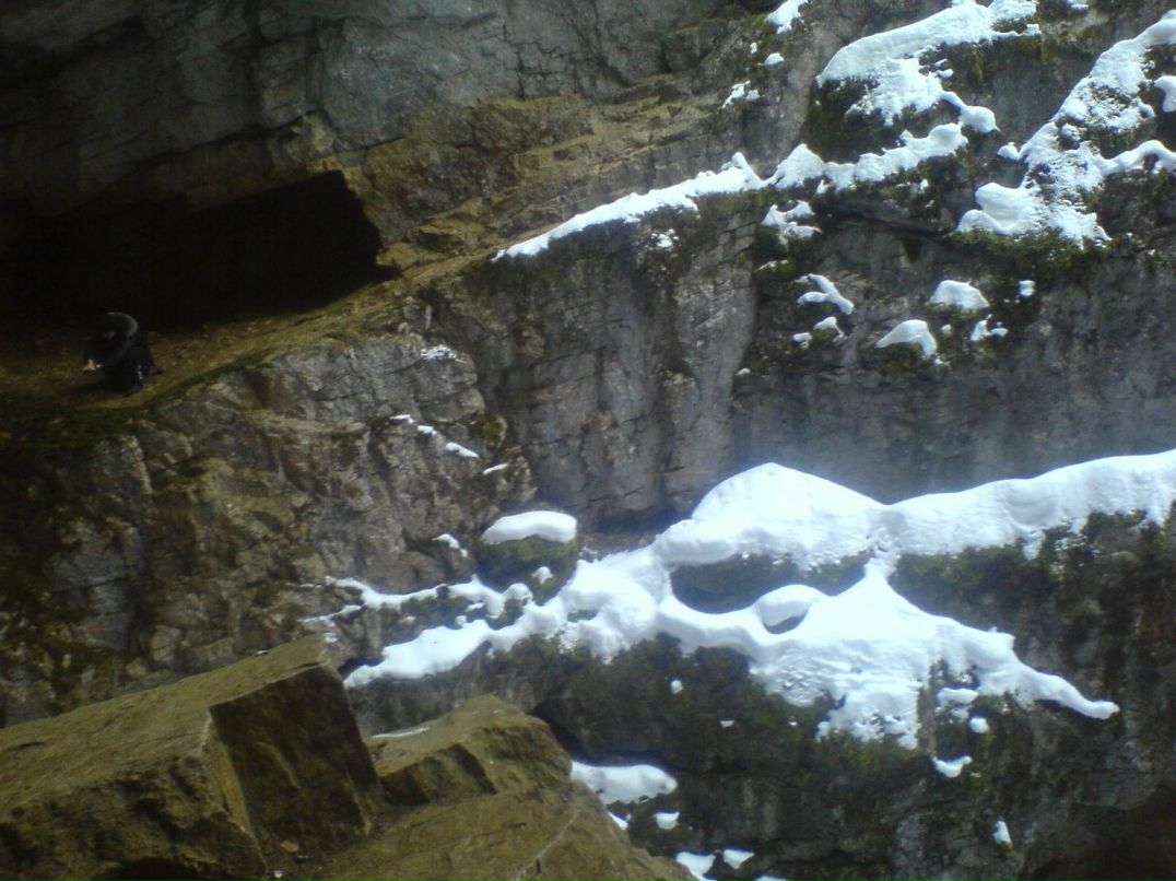 Владислав Шентенков | Екатеринбург