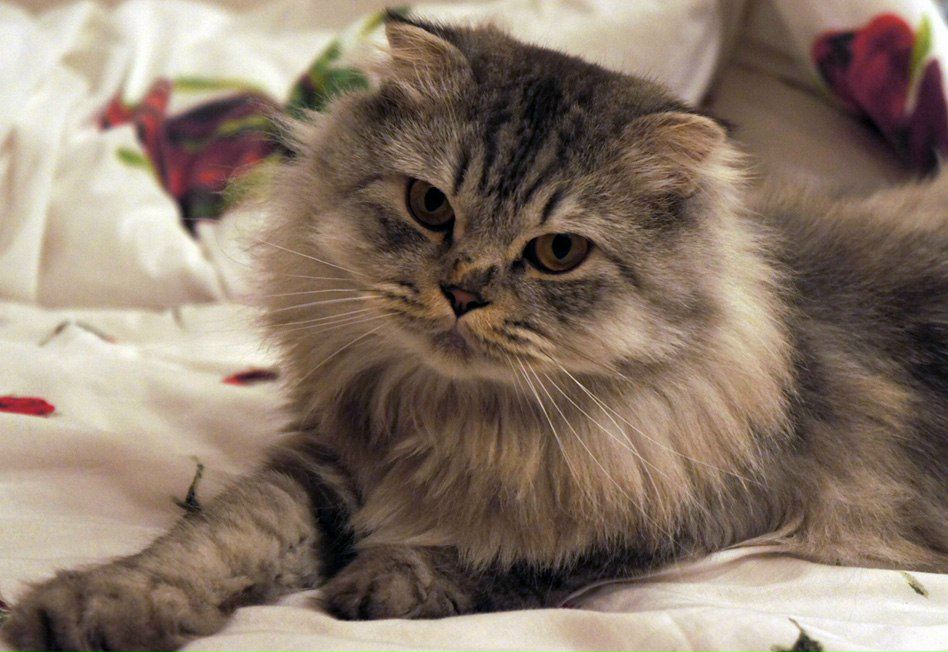 Дмитрий Куркаев | Москва