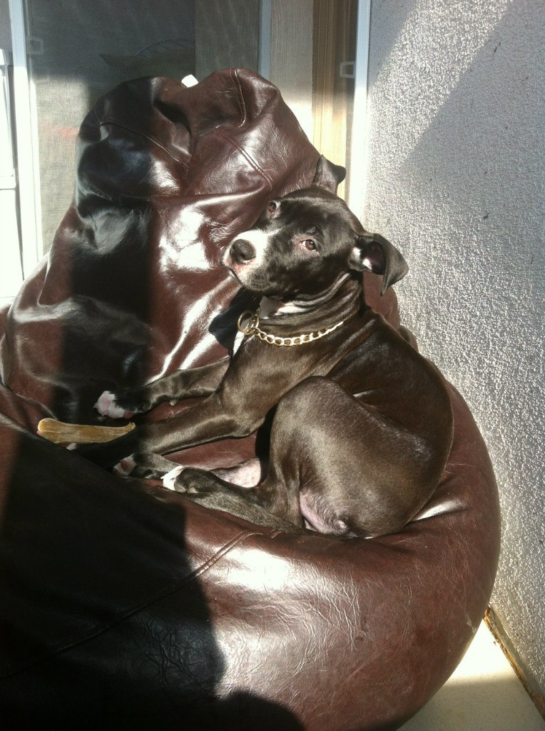 Оленька Рудая | Киев