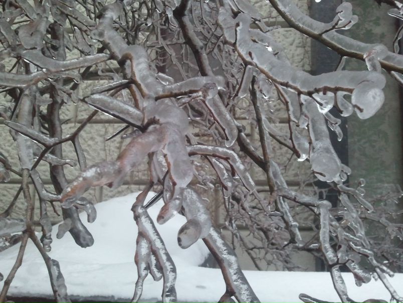 №111, Елена Гусева, Москва №111, Елена Гусева, Москва