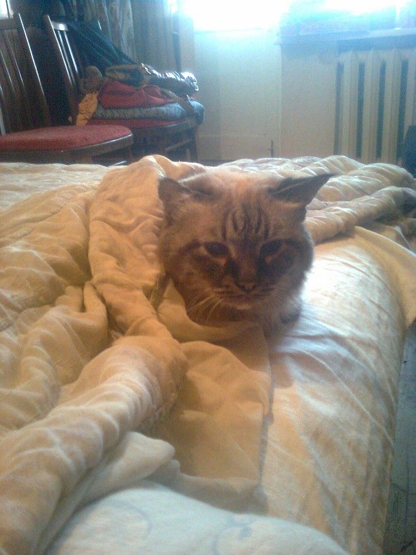 Светлана Карабанова | Москва