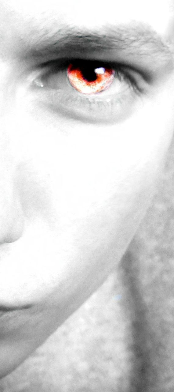 Илья Молотов | Волгоград