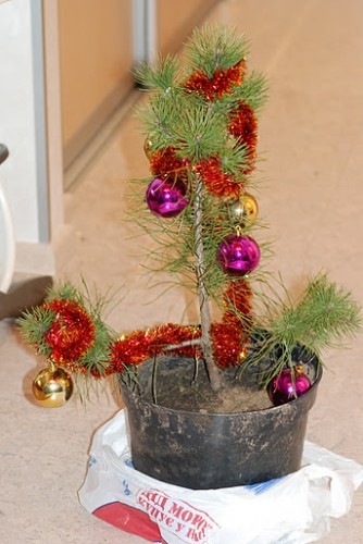 №15, Никита Гоголев, Санкт-Петербург №15, Никита Гоголев, Санкт-Петербург