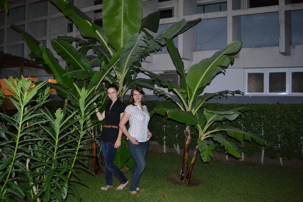 №52, Катюша Федюкевич, Киев №52, Катюша Федюкевич, Киев