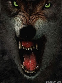 №112, Дмитрий Лазаренко, 51 год, Санкт-Петербург №112, Дмитрий Лазаренко, 51 год, Санкт-Петербург