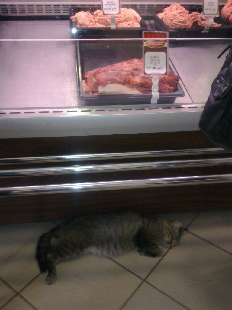 Сулейман Пирметов | Волгоград