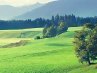 Максим Ольсевич | Витебск
