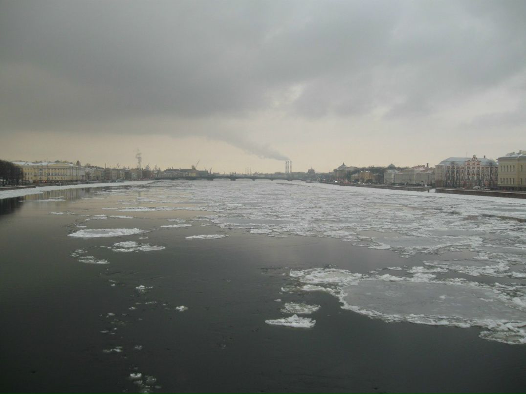 Родион Водеников | Гомель