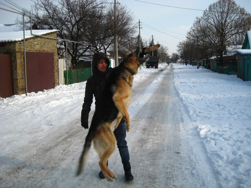 Славик Харкевич | Москва
