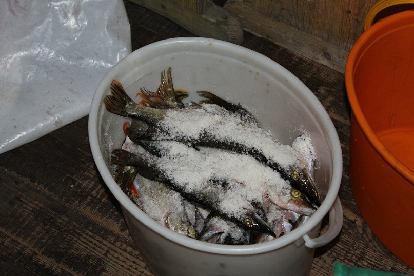 Лена Григорьеа | Санкт-Петербург