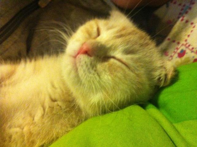 Дмитрий Вадер | Москва