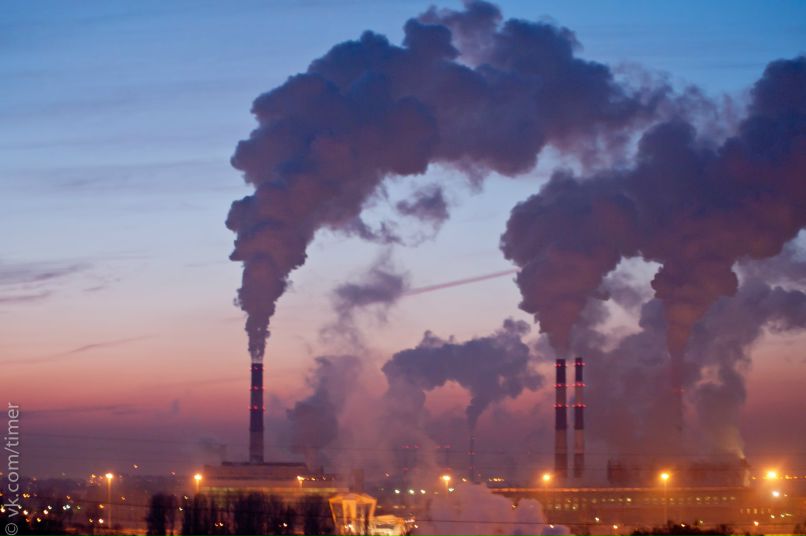 Денис Рыбников | Санкт-Петербург