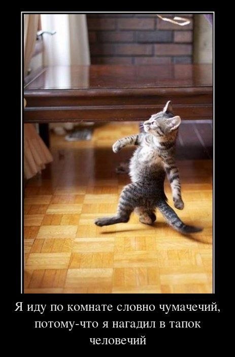 Макс Позябин Rhytmic | Кохтла-Ярве