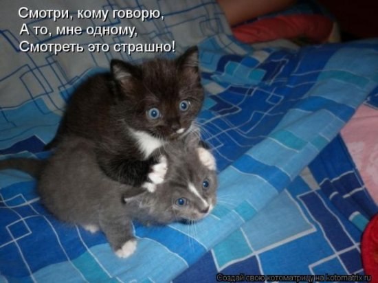 Мария Устинкина | Санкт-Петербург