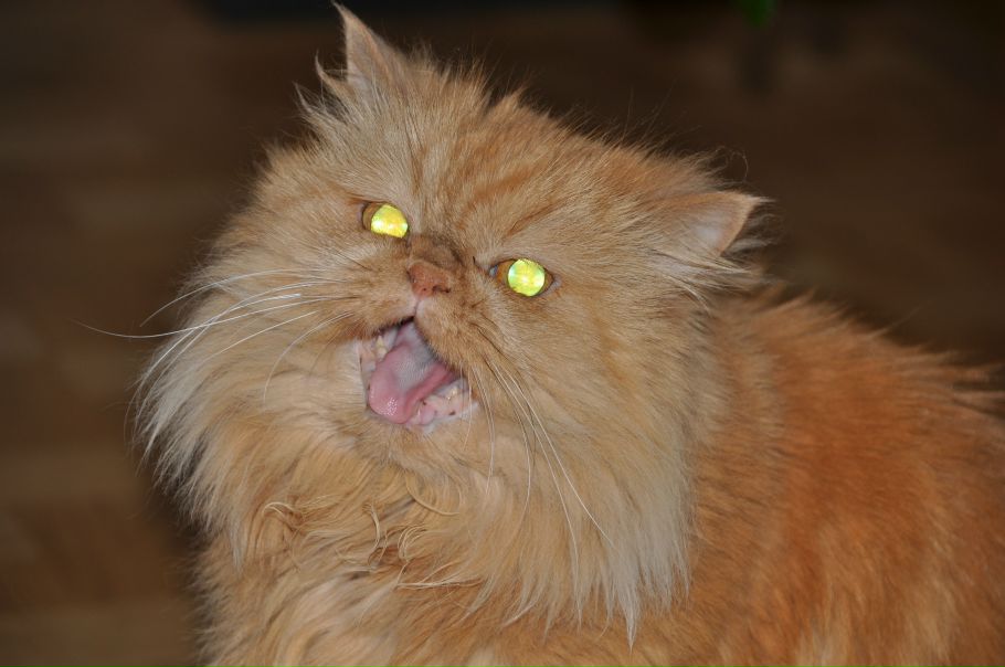 №32, Кристина Кристина, Москва №32, Кристина Кристина, Москва