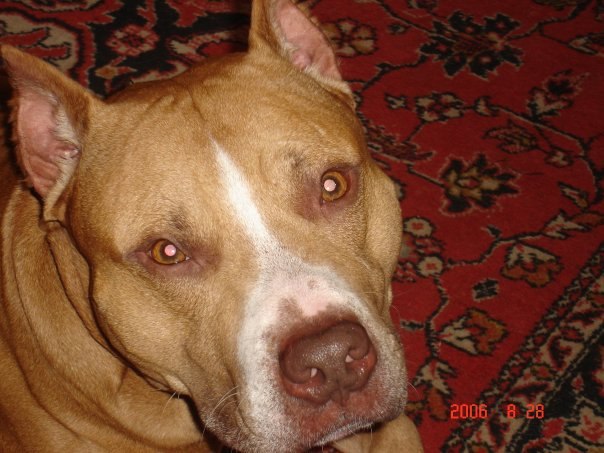 Валерия Истомина | Ухта