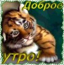 Фотография Солнышко Павлова