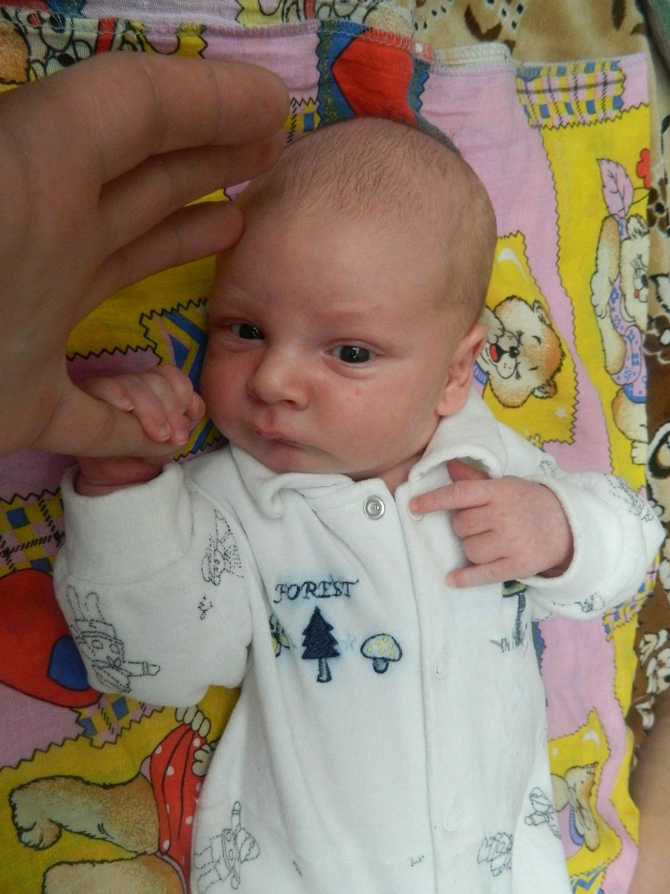 Денис Воскресенский | Санкт-Петербург