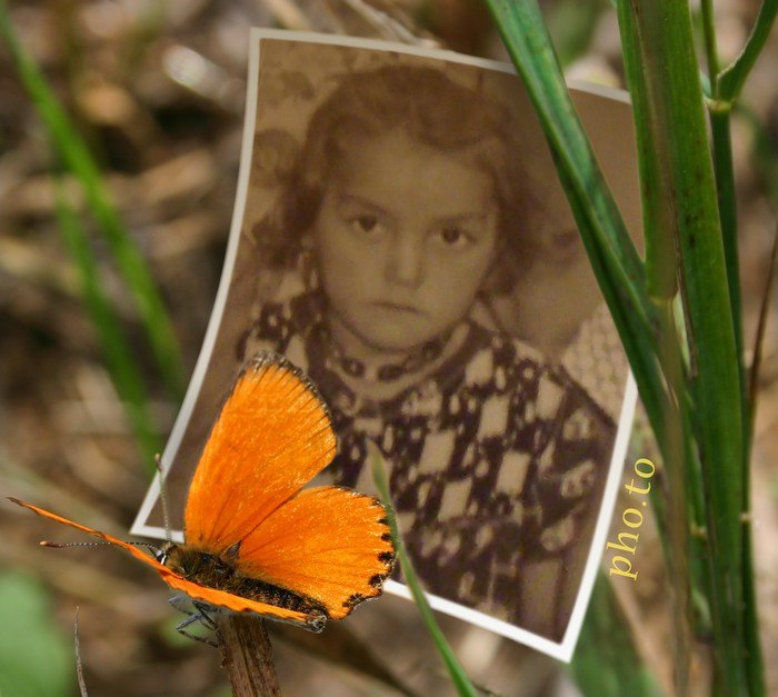 Раиля Солонцова | Казань