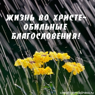 №102, Мария Мручак, Омск №102, Мария Мручак, Омск