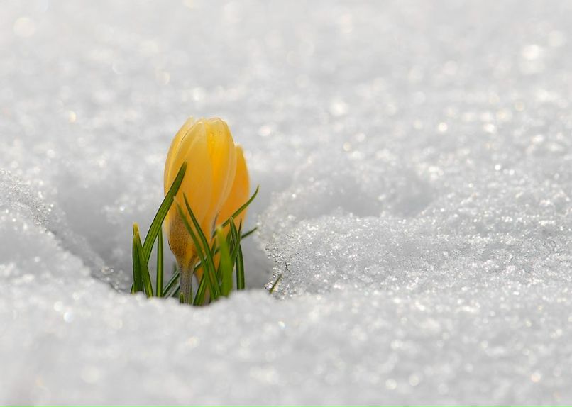 Мальвина Тавгазова | Сочи