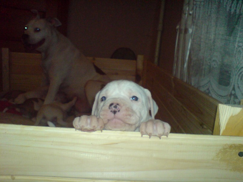 Жека Раджабов | Киев