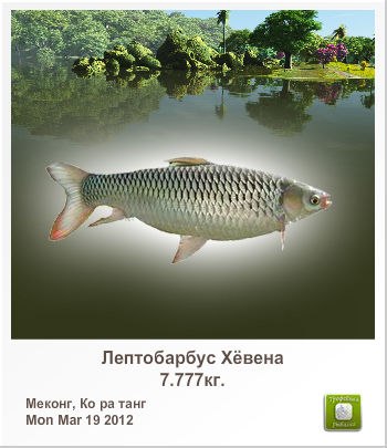 Анатолий Губарев | Краснодар