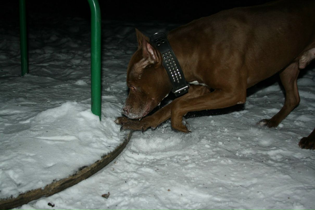 Надежда Холодная | Санкт-Петербург