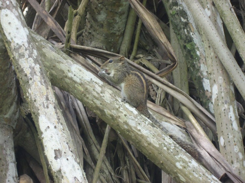 Наталия Тищенко | Томск