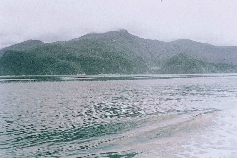 Maks Maks │ | Los Angeles