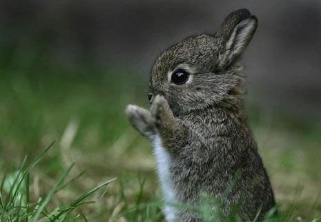 Полина Тамбовцева | Покровск / Красноармейск