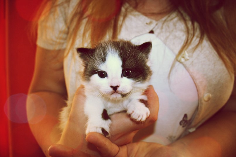 Наташа Вострикова | Воронеж